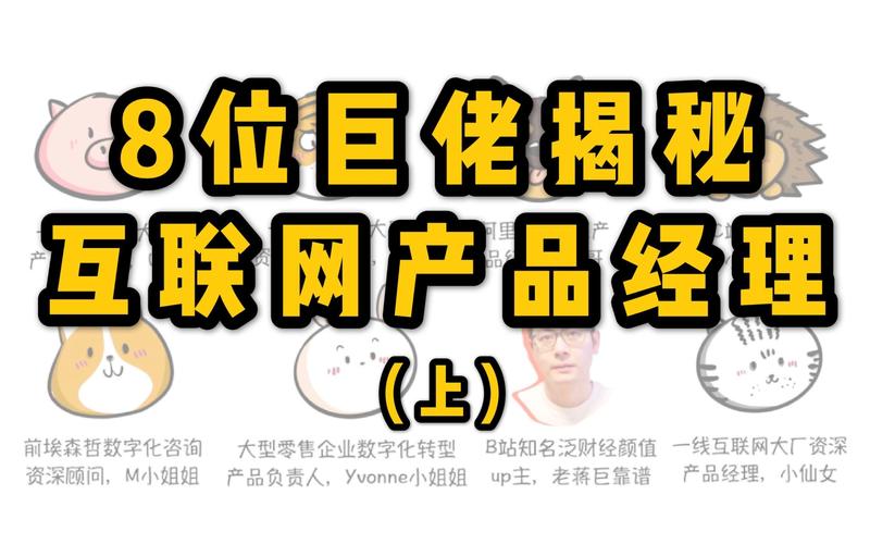 互联网产品经理与互联网商品销售 从思维到落地的全方位解析
